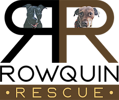 Rowquin Rescue